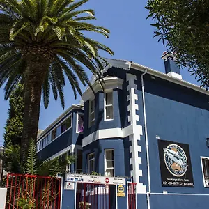  Hostel Big Blue Backpackers South Africa